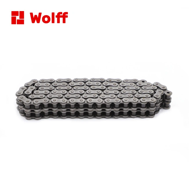 Double Strand Heavy Chains